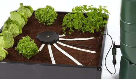Autopot AQUAbox Spyder - GrowPro Hydroponics Ltd