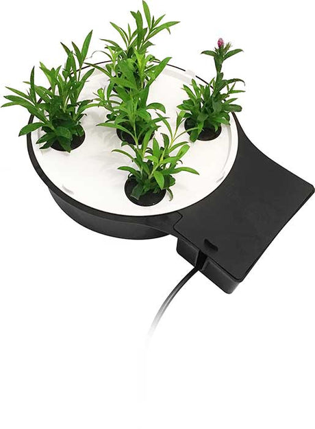 Autopot AQUAplate Circle - GrowPro Hydroponics Ltd