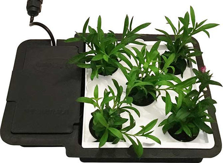 Autopot AQUAplate Square - GrowPro Hydroponics Ltd