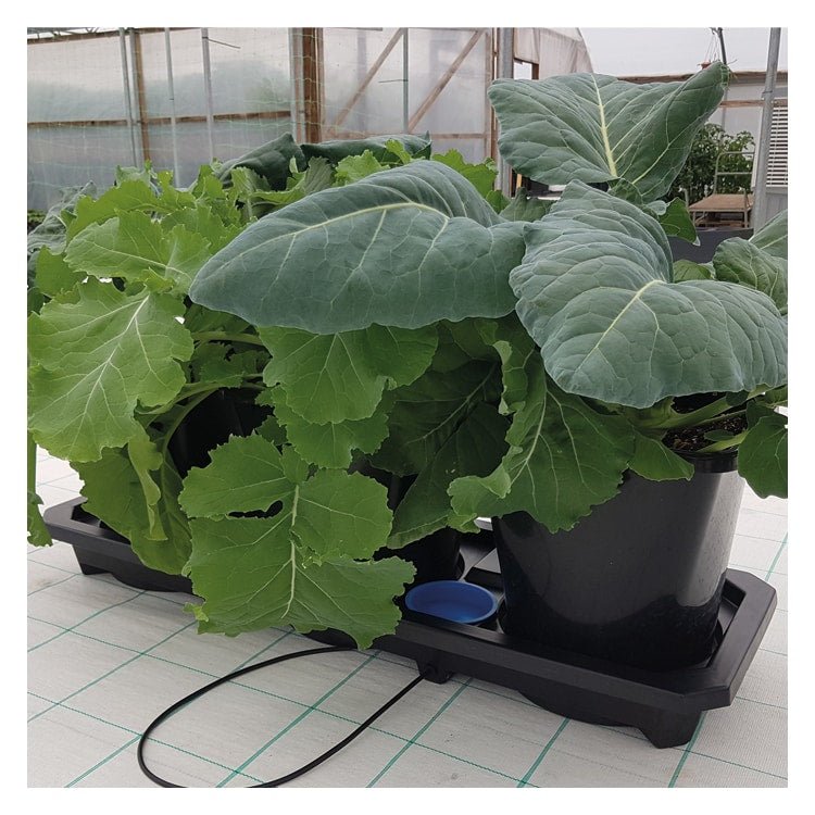 Autopot Auto3 XL (25L) - GrowPro Hydroponics Ltd
