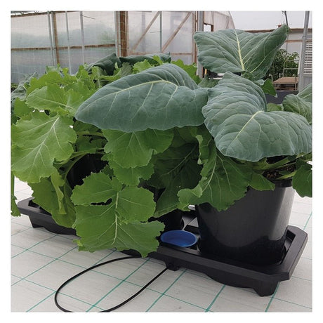 Autopot Auto3 XL (25L) - GrowPro Hydroponics Ltd