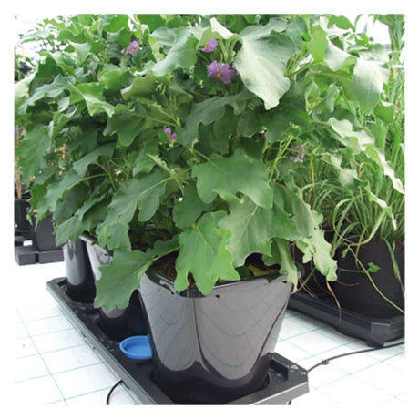 Autopot Auto3 XL (25L) - GrowPro Hydroponics Ltd