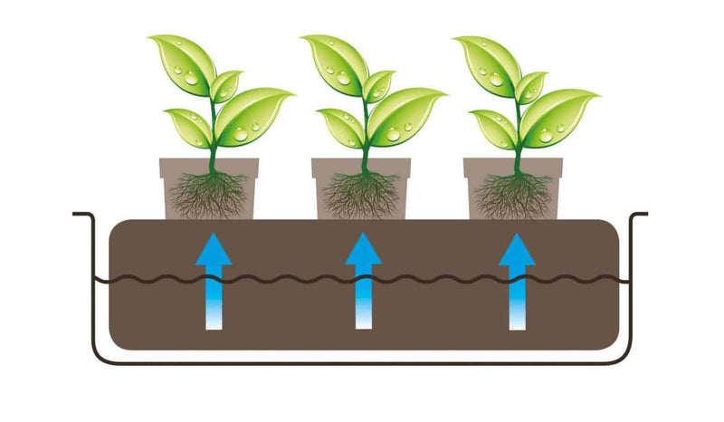 CocoMat Bundle inc. Root Control Sheet 51 x 30 x 3 (cm) - GrowPro Hydroponics Ltd