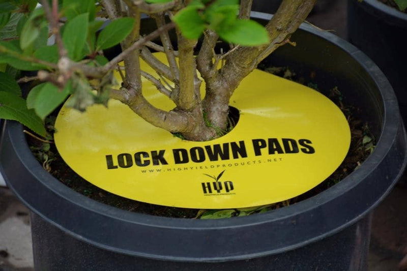 HYP Lockdown Pads - GrowPro Hydroponics Ltd