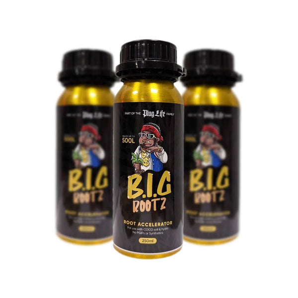 Plug Life B.I.G Rootz 250ml - GrowPro Hydroponics Ltd