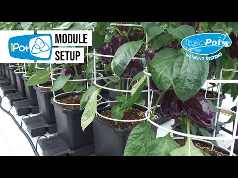 Autopot 1Pot Module 15L