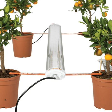 Underdawg 120W LED Undercanopy Fixture + Complete Accessory Kit - GrowPro Hydroponics Ltd