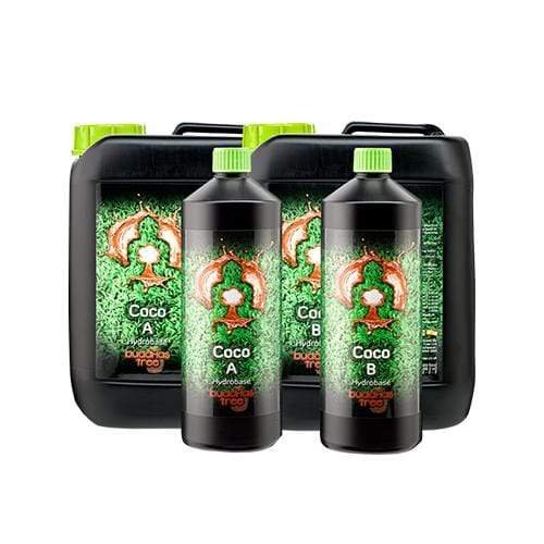 Buddha's Tree - Coco A+B - GrowPro Hydroponics Ltd
