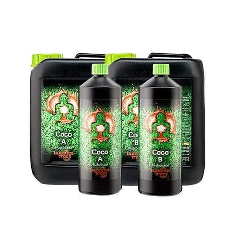 Buddha's Tree - Coco A+B - GrowPro Hydroponics Ltd