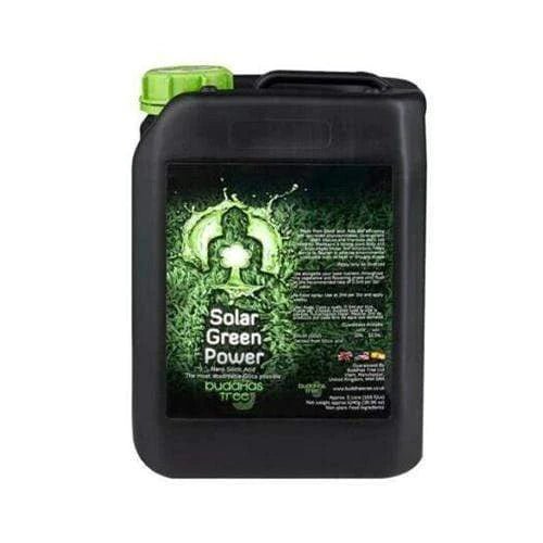 Buddha's Tree Solar Green Power - GrowPro Hydroponics Ltd
