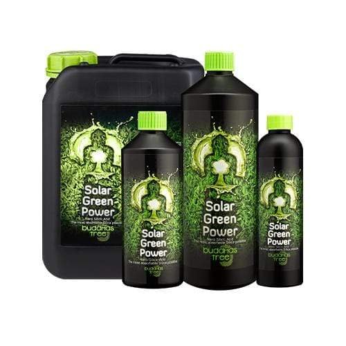 Buddha's Tree Solar Green Power - GrowPro Hydroponics Ltd