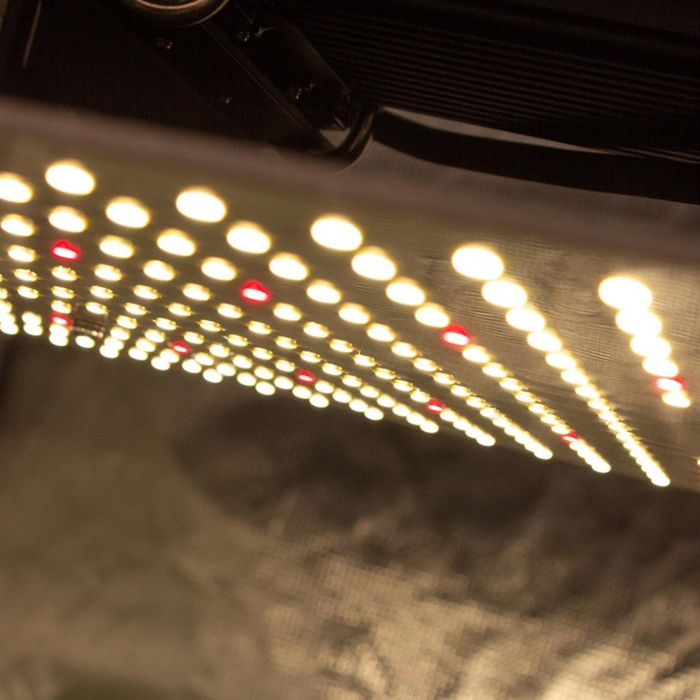 LUMii BLACK Blade LED - 200w Grow Light - GrowPro Hydroponics Ltd