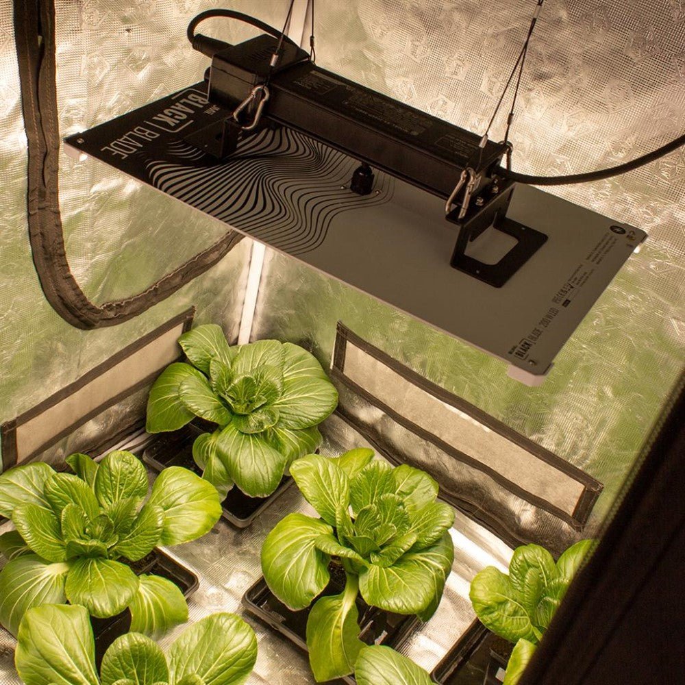 LUMii BLACK Blade LED - 200w Grow Light - GrowPro Hydroponics Ltd