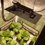 LUMii BLACK Blade LED - 200w Grow Light - GrowPro Hydroponics Ltd