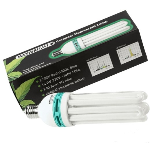 MaxiBright Compact Fluorescent Lamps (CFLs) - GrowPro Hydroponics Ltd