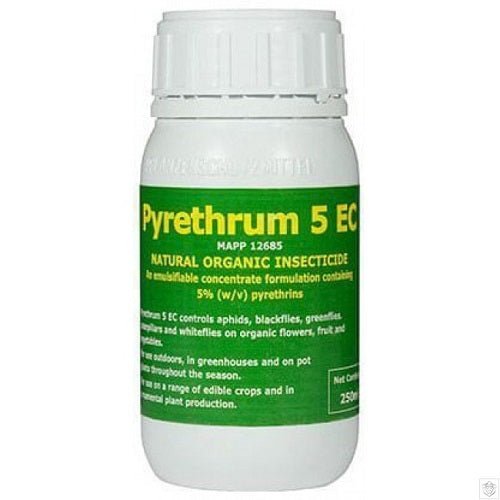 Pyrethrum 5 EC - 250mls Concentrate - GrowPro Hydroponics Ltd
